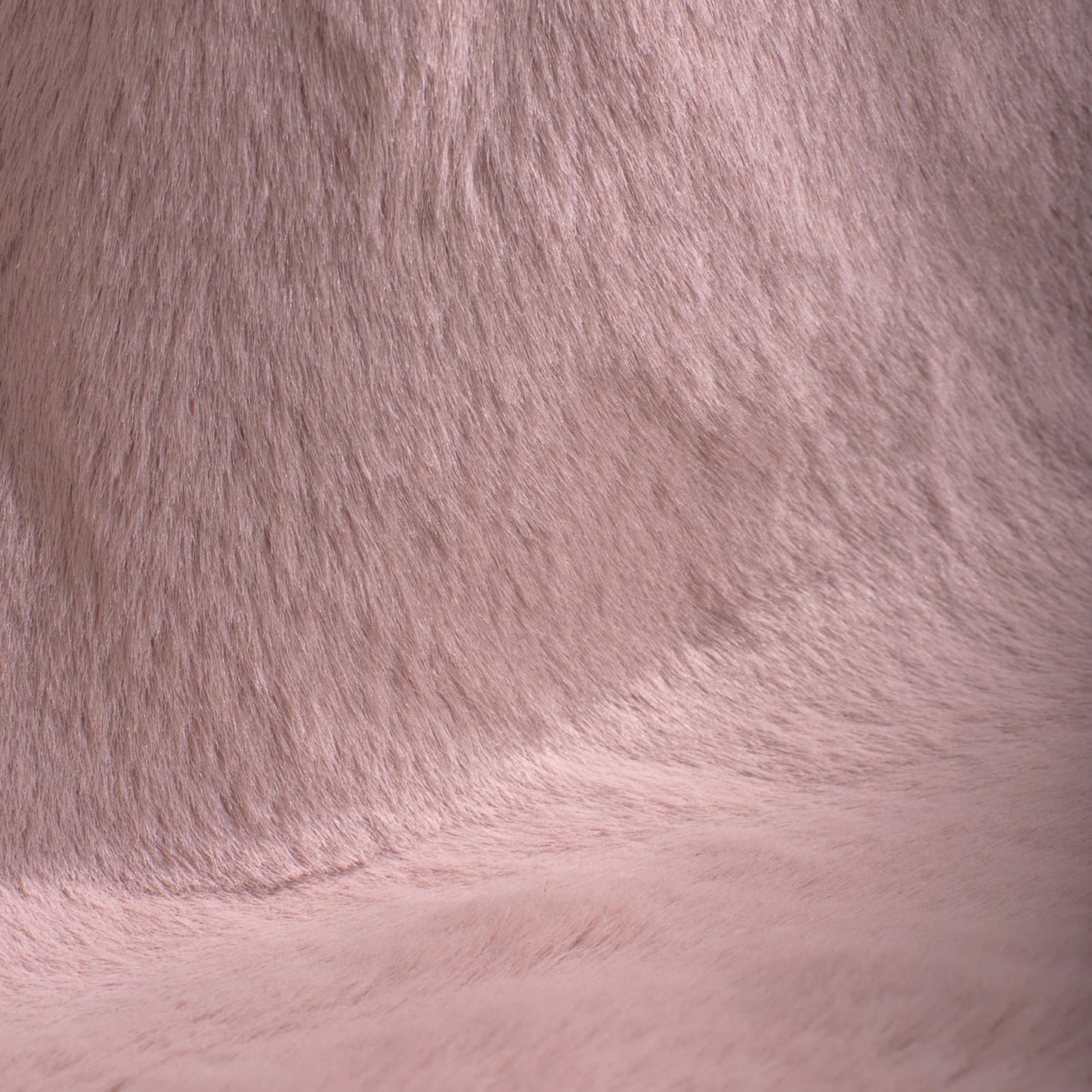 LOFT Rose